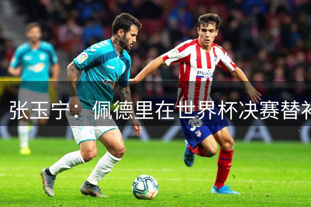 张玉宁：佩德里在世界杯决赛替补上场后的表现无懈可击